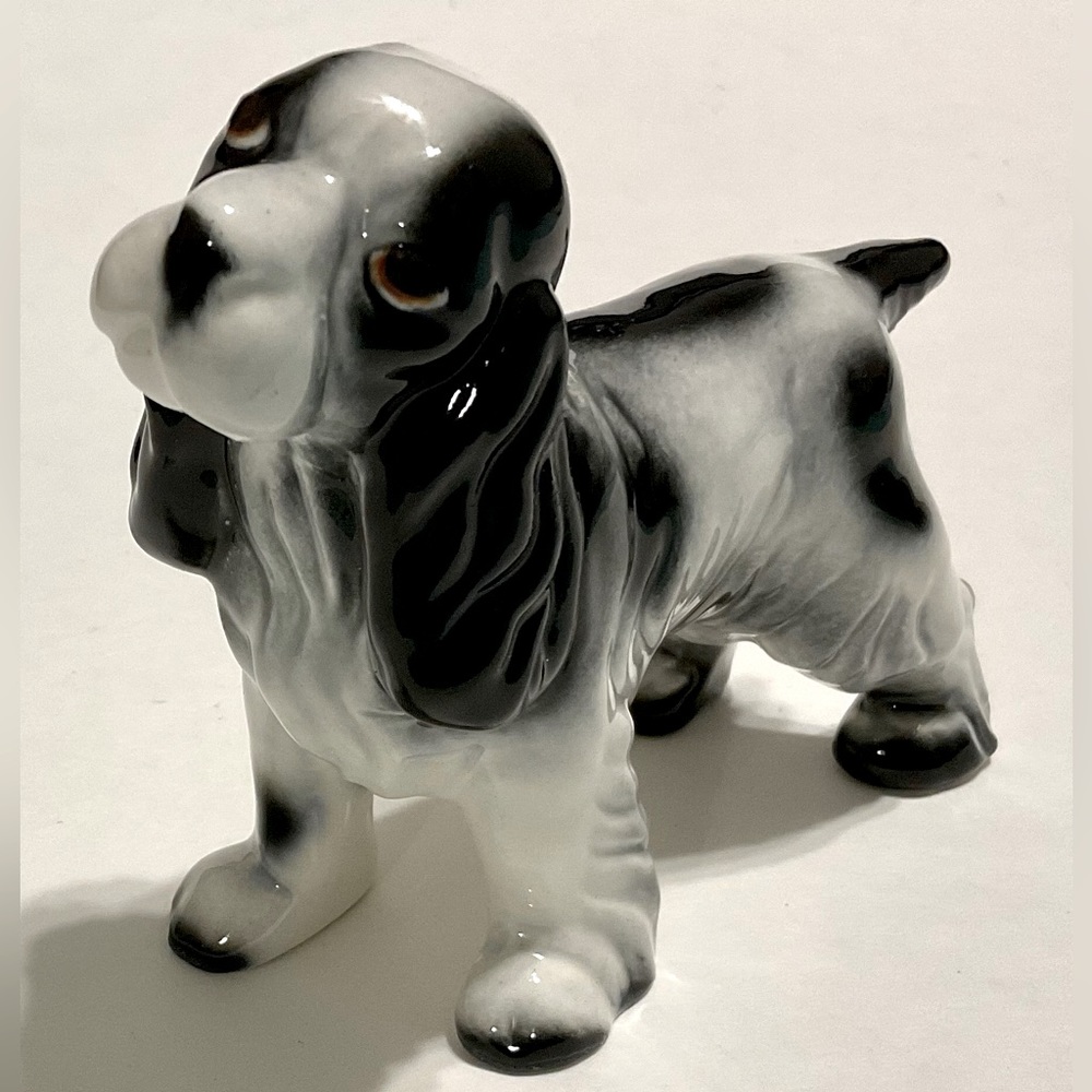 Robert Simmons' dog